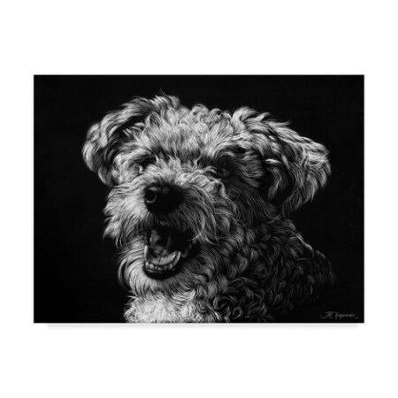 Julie T. Chapman 'Canine Scratchboard Xxv' Canvas Art,24x32